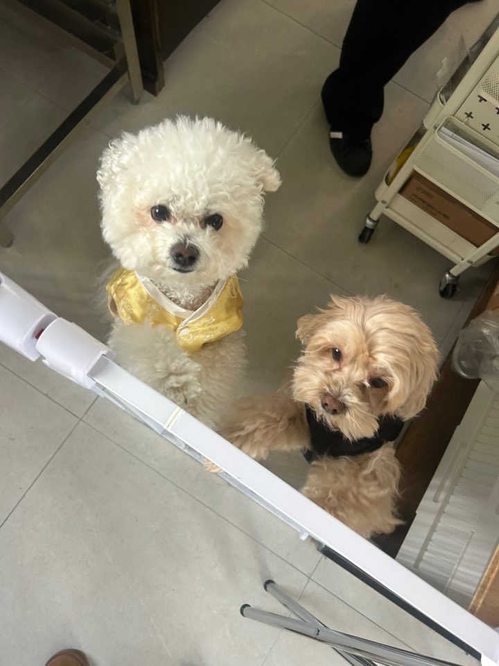 터치우드 이미지