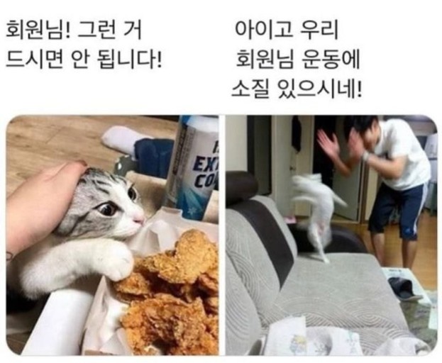 엠크루 이미지