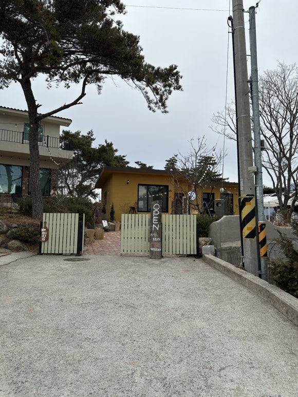 따시곰 이미지
