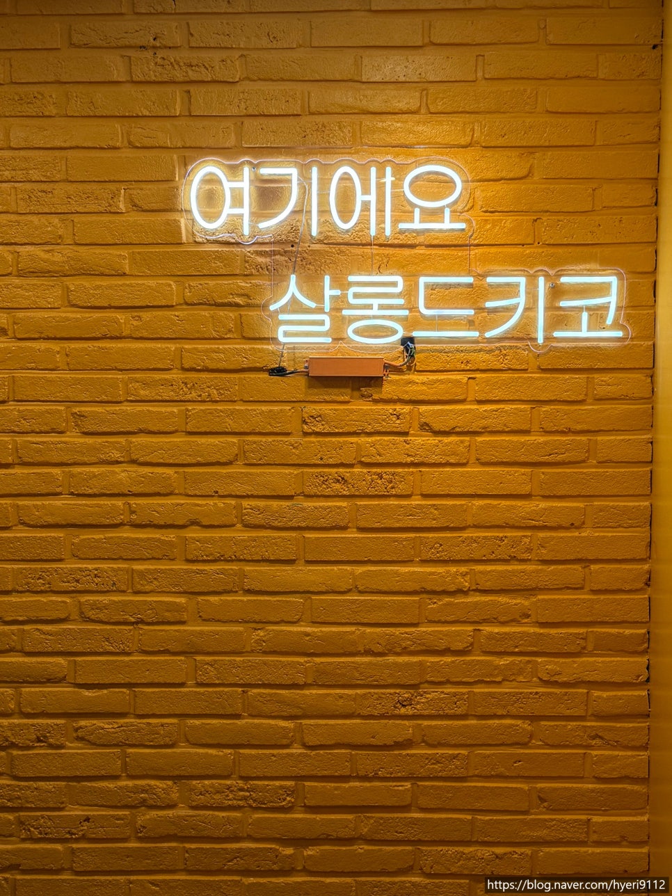 살롱드키코 이미지