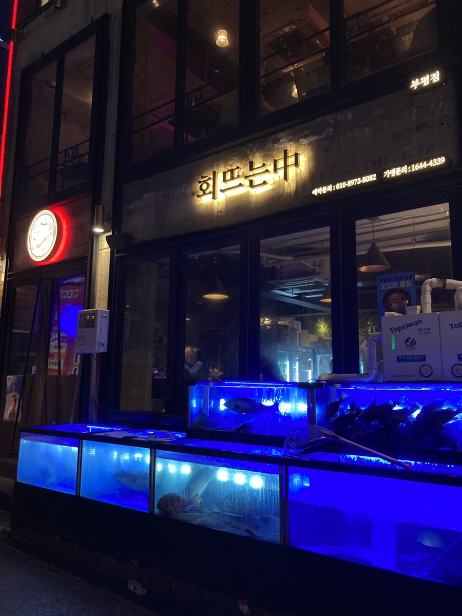 회뜨는중 이미지