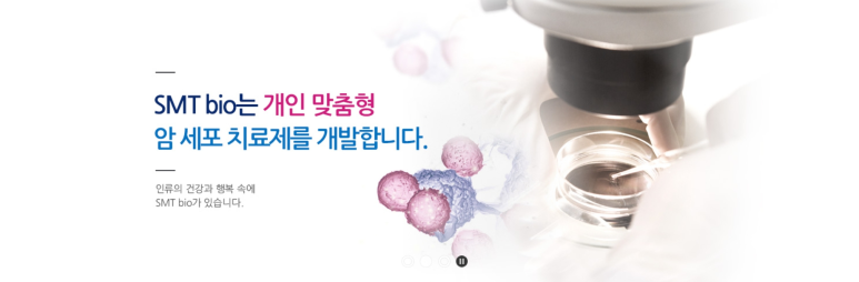 에스엠티 이미지