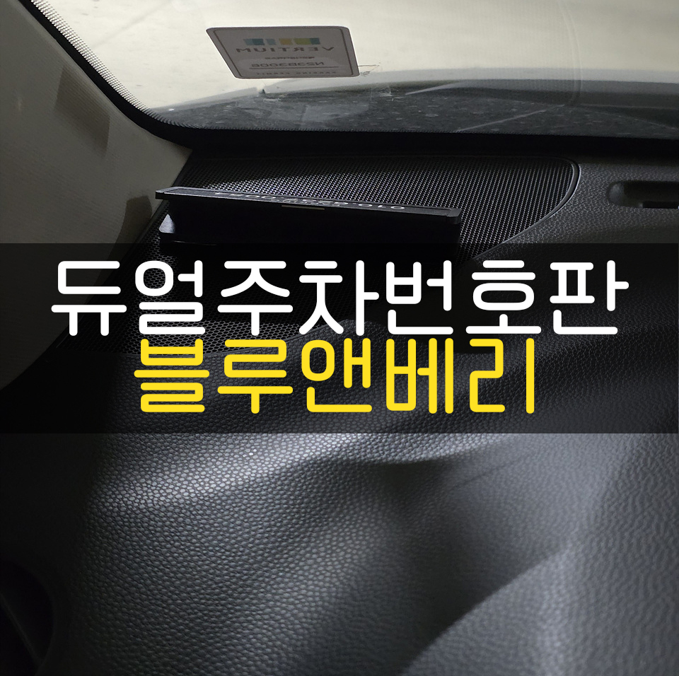 블루앤베리 이미지