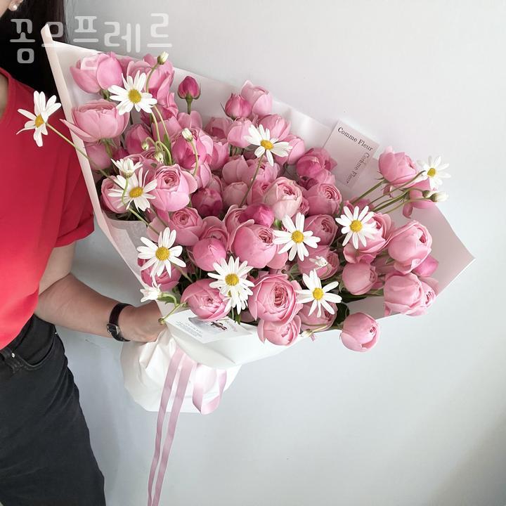 꼼므플레르 이미지