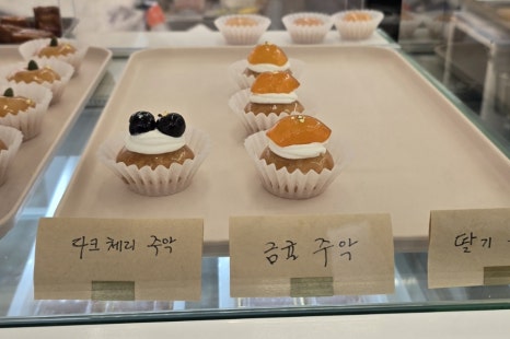 가야미과 이미지