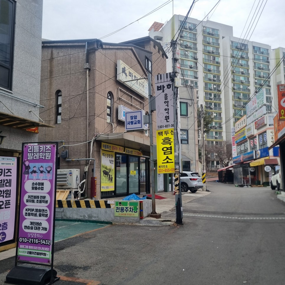 백두산흑염소 이미지