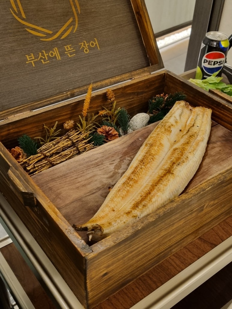 부산에 뜬 장어 이미지