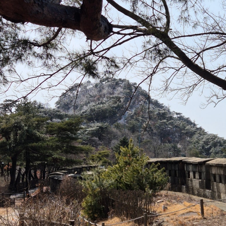 곡성사슴 이미지
