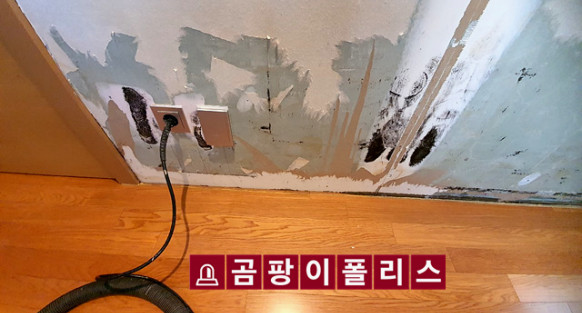 깨끗한환경 이미지