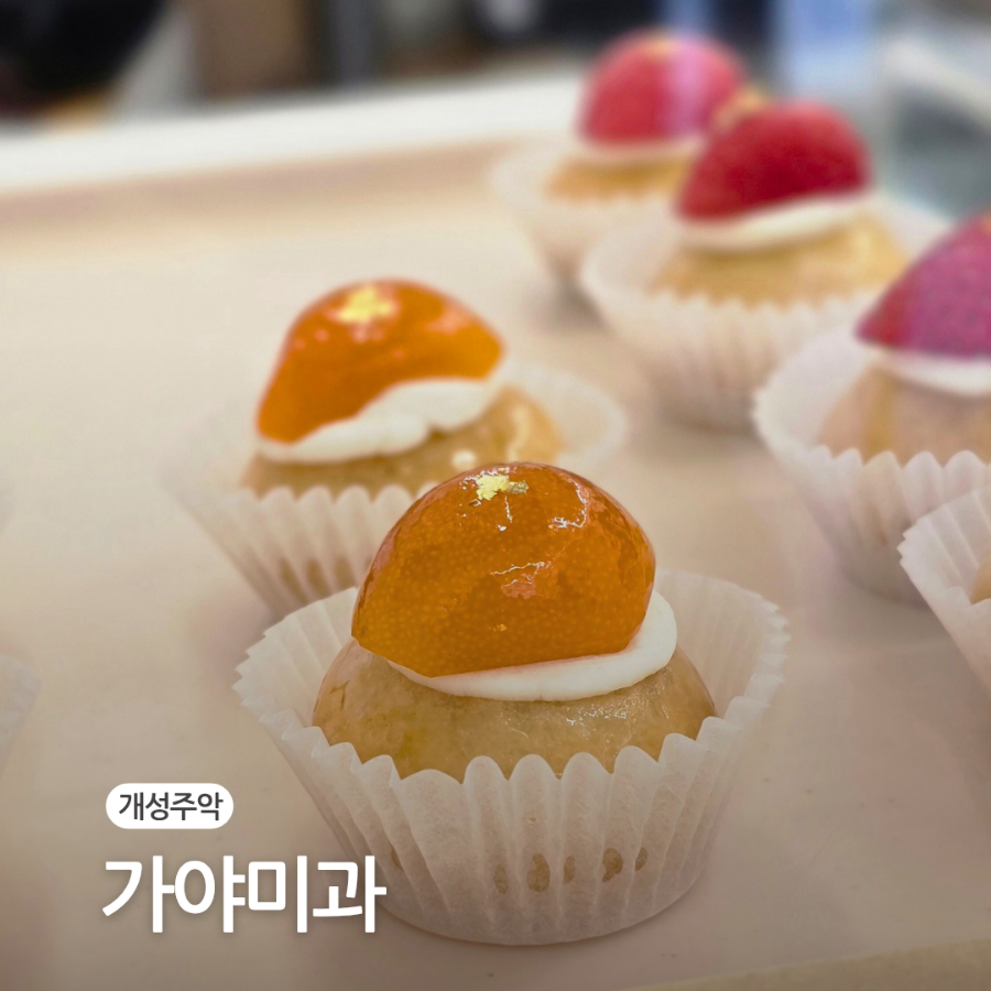 가야미과 이미지