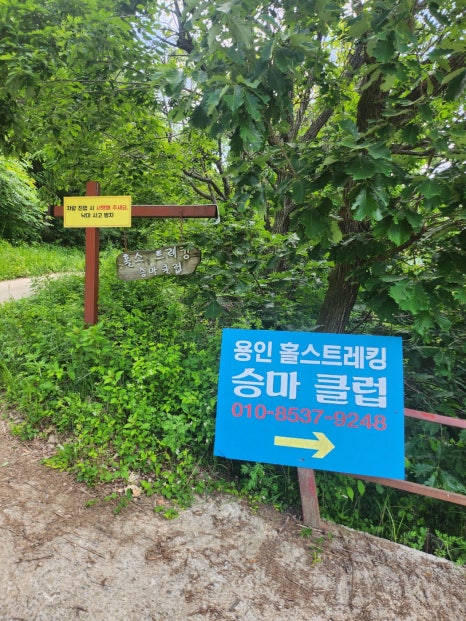 용인홀스트래킹 이미지