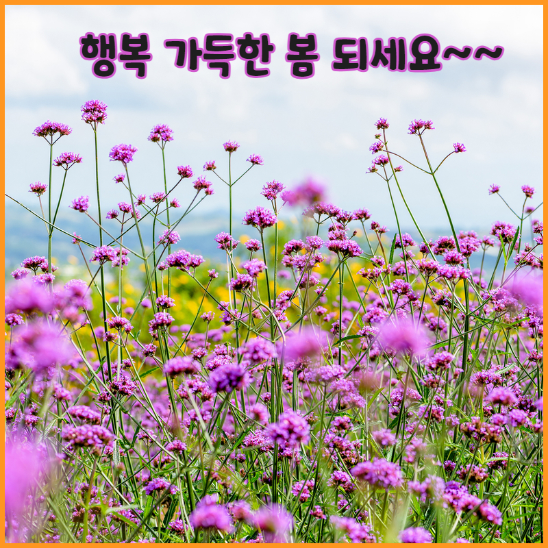 정원텔레콤 이미지
