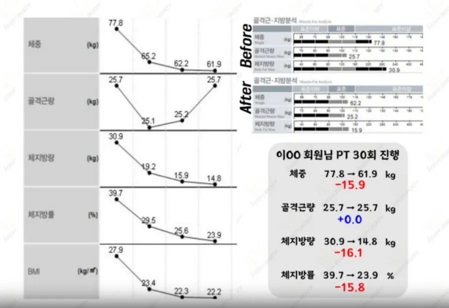 하이바디짐 이미지