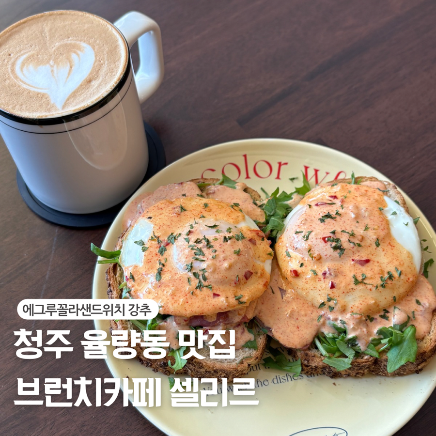 셀리르 이미지
