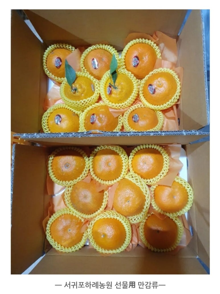 123몰 이미지