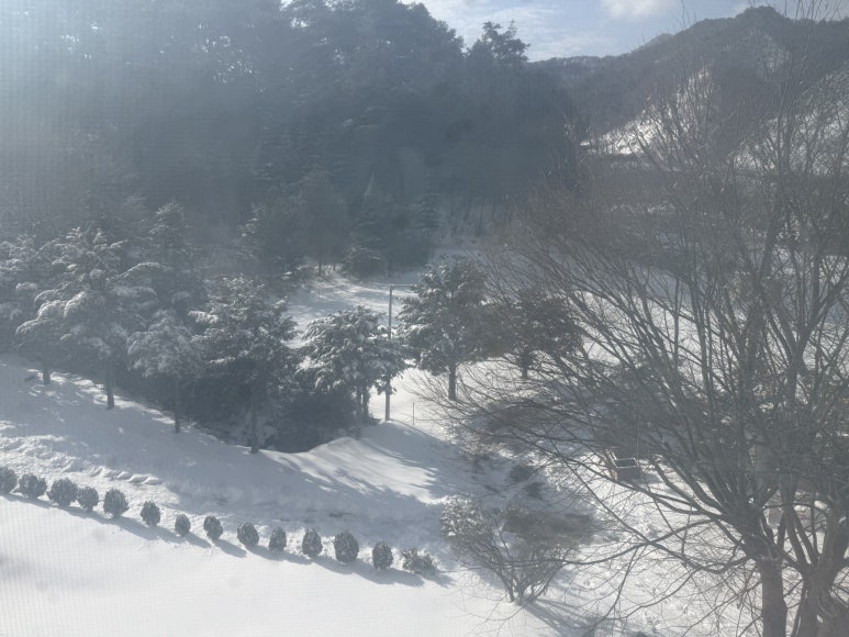 성심단식원 이미지