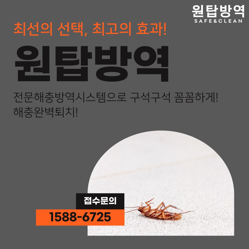 원탑방역 이미지