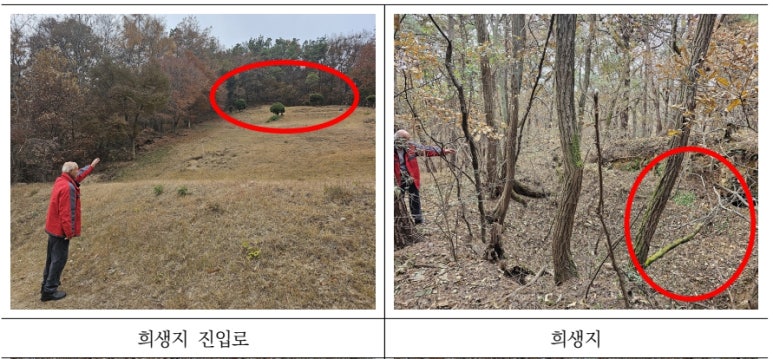 황*섭 이미지