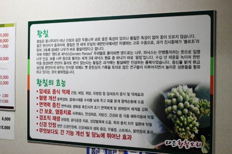 다은황칠오리 이미지