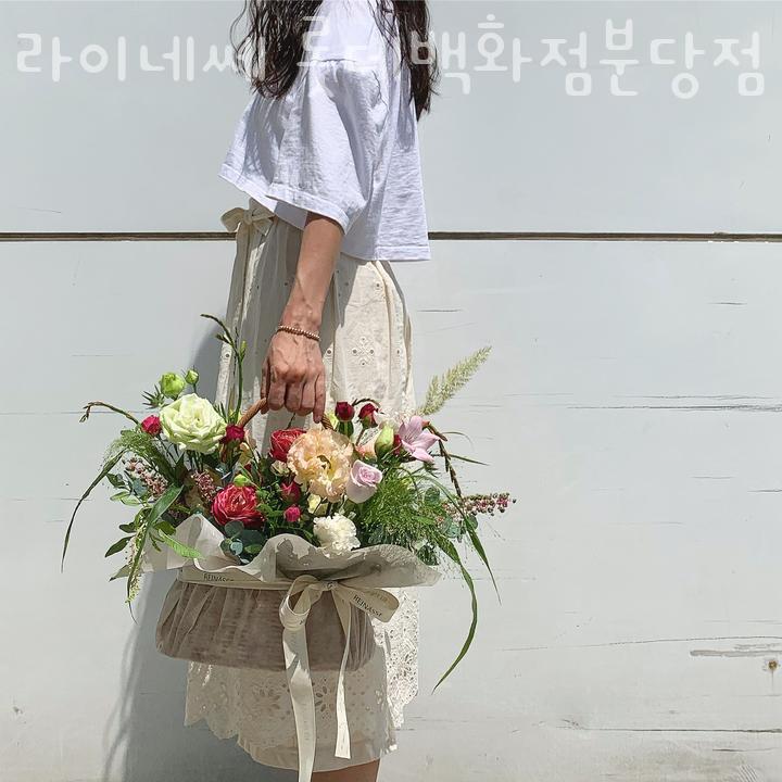 라이네쎄 이미지