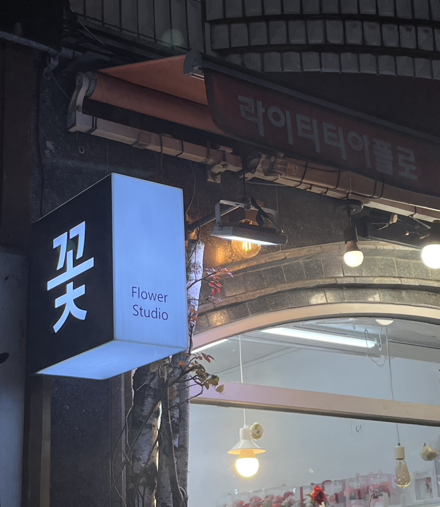 라이티티아플로 이미지