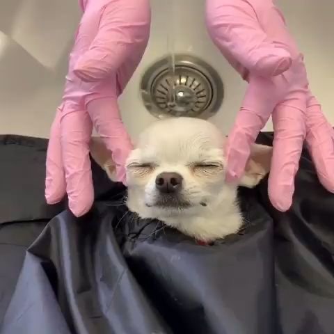 이트헤어 이미지