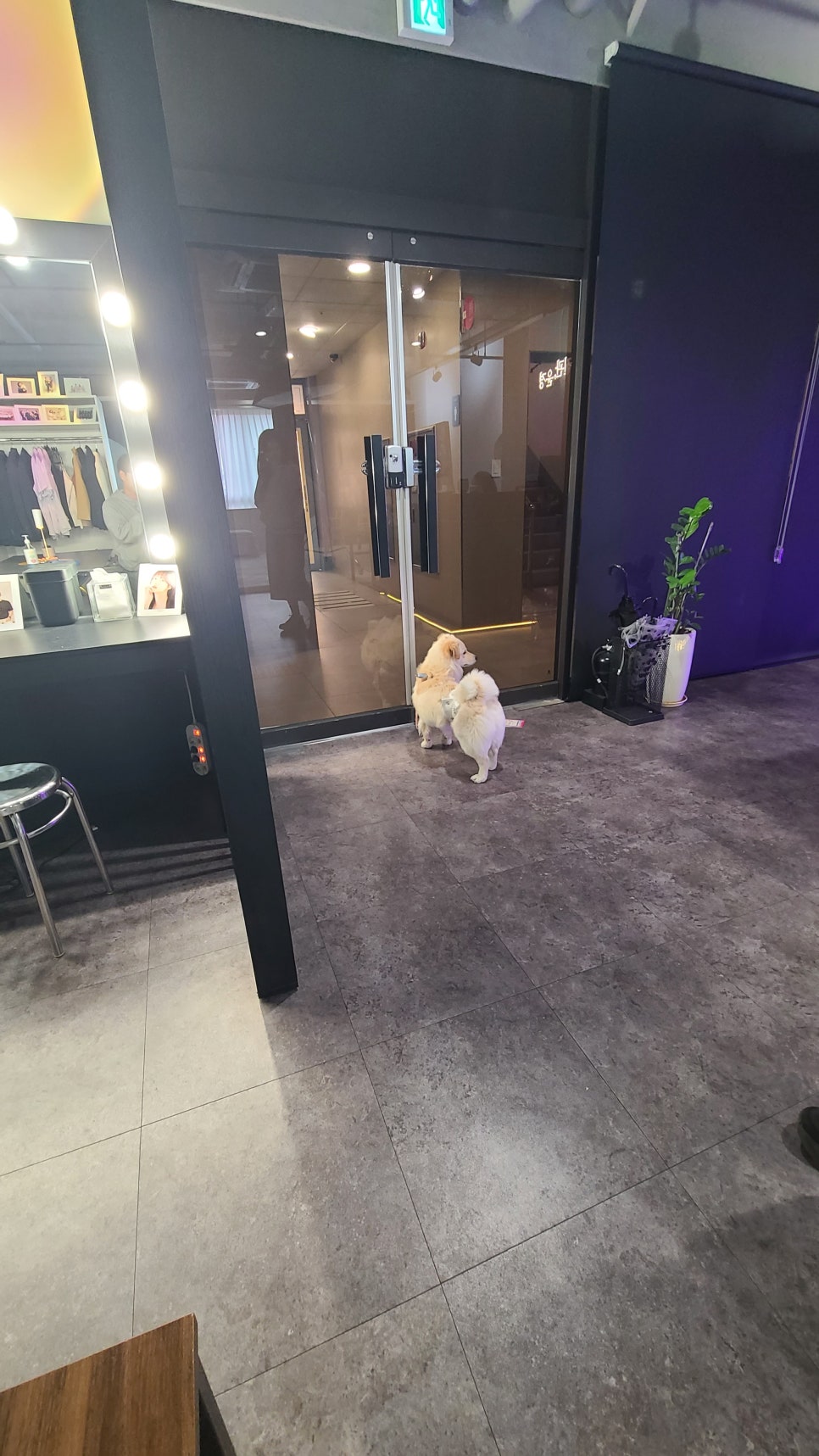 사진관;윤경 이미지