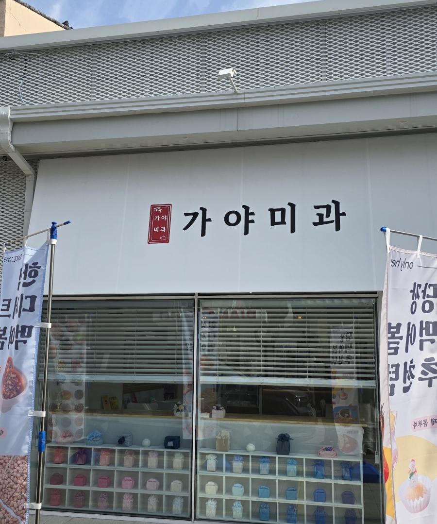 가야미과 이미지