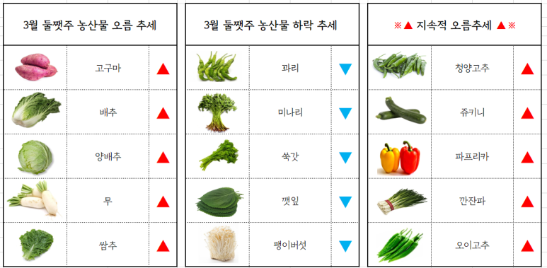 서면유통 이미지