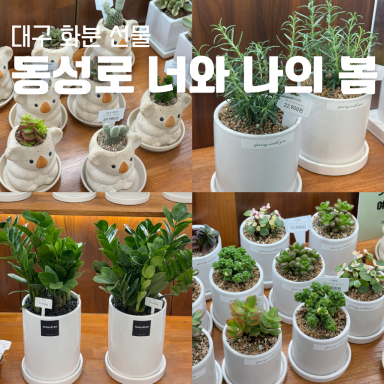 너와나의봄 이미지