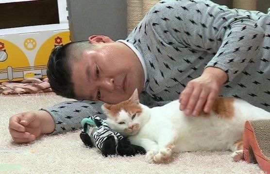 내가방 이미지