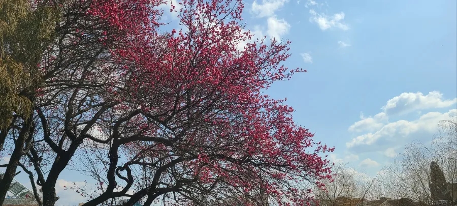 광주중앙초등학교 이미지