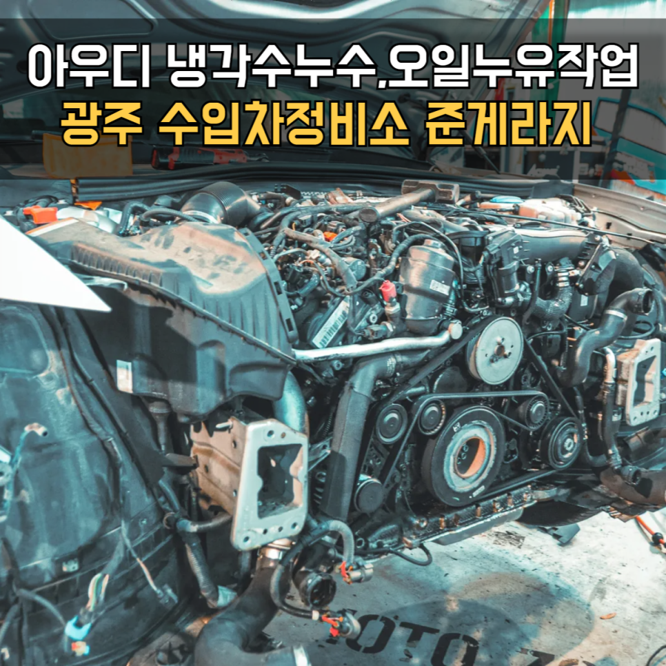 준게라지 이미지