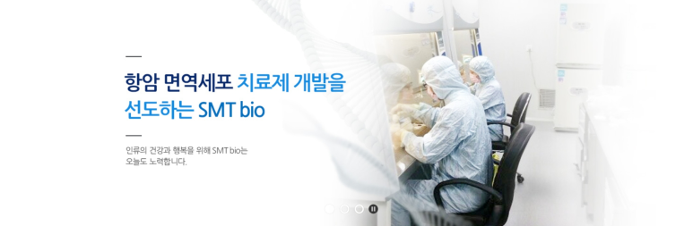 에스엠티 이미지