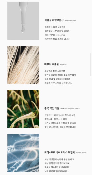스파몽드 이미지
