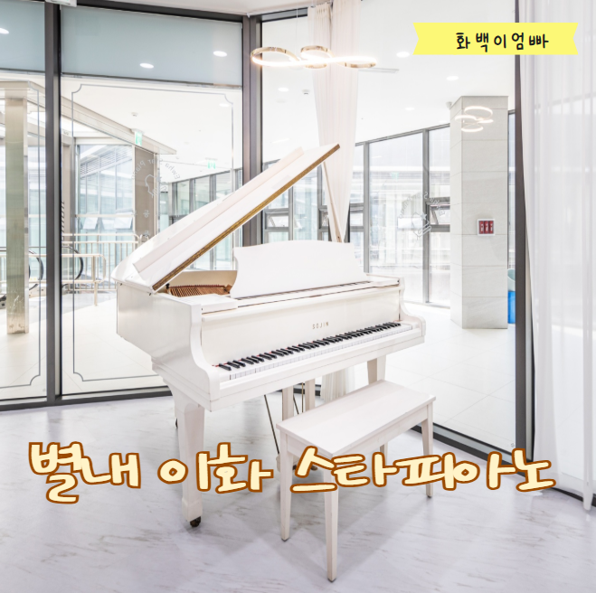 이화스타피아노 이미지