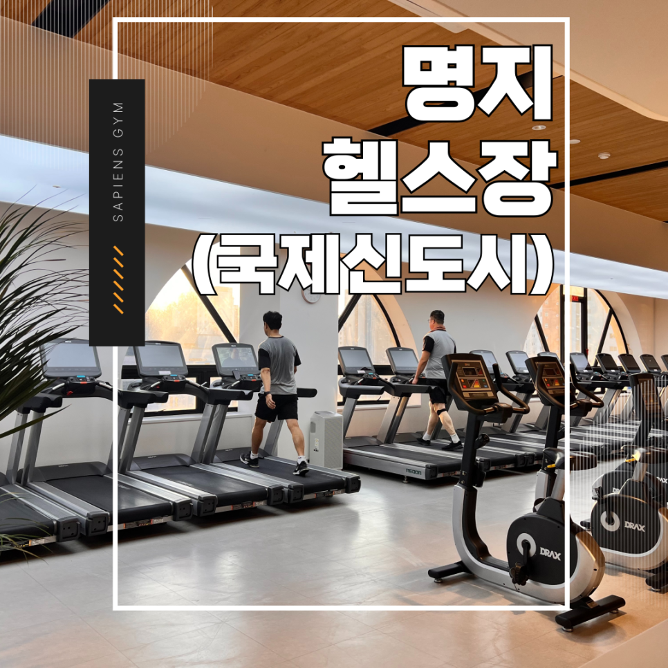 싸피엔스짐 이미지