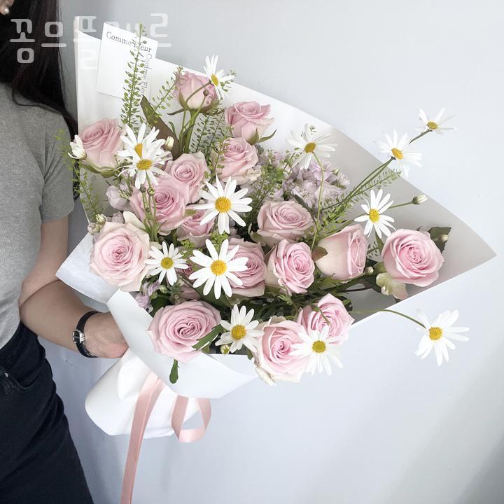 꼼므플레르 이미지