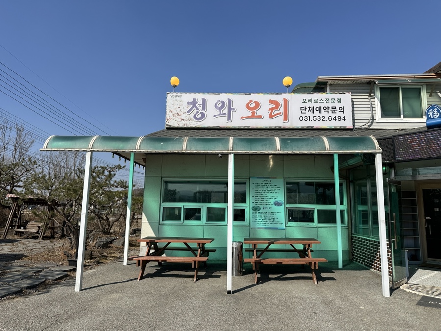 청와오리 이미지