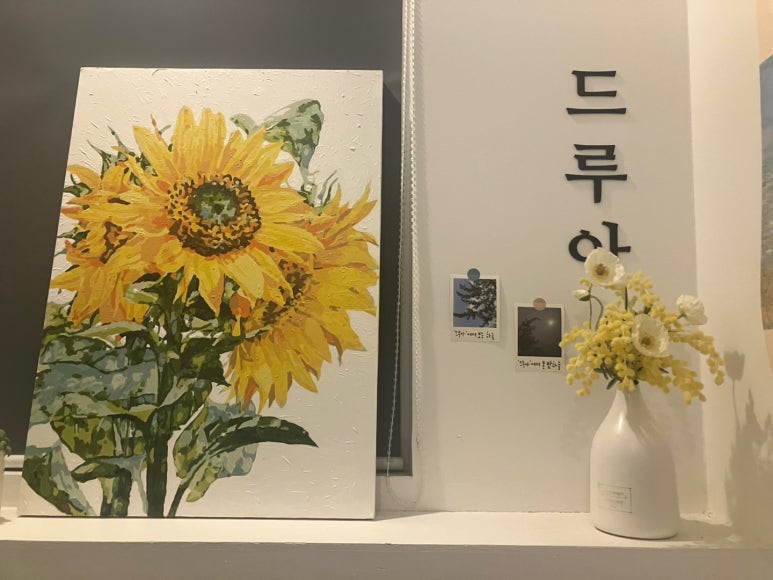 드루아 이미지