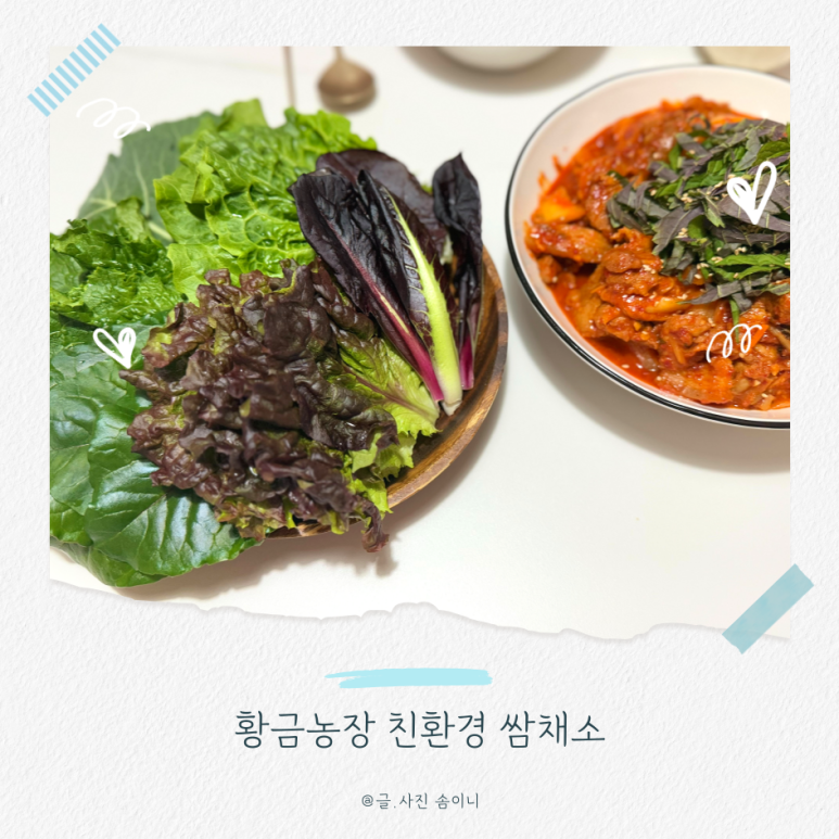 황금농장김치 이미지