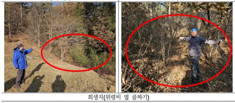 황*섭 이미지