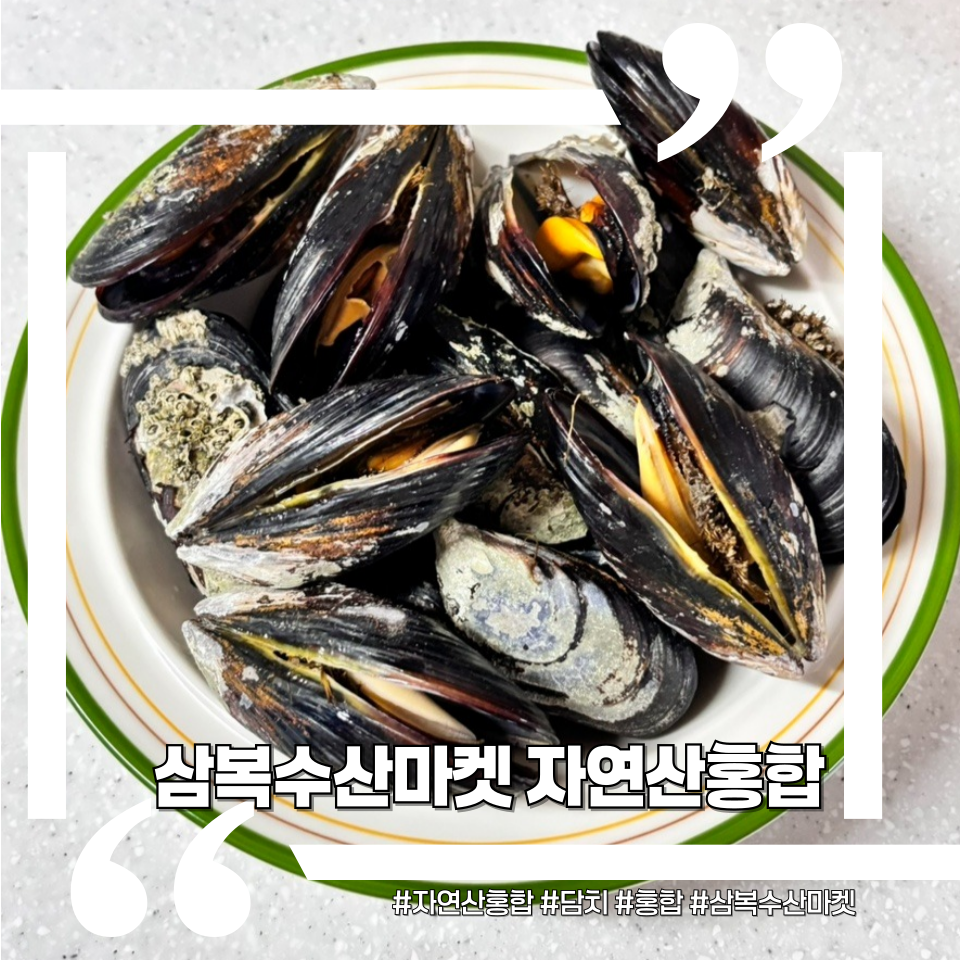 삼복수산 이미지