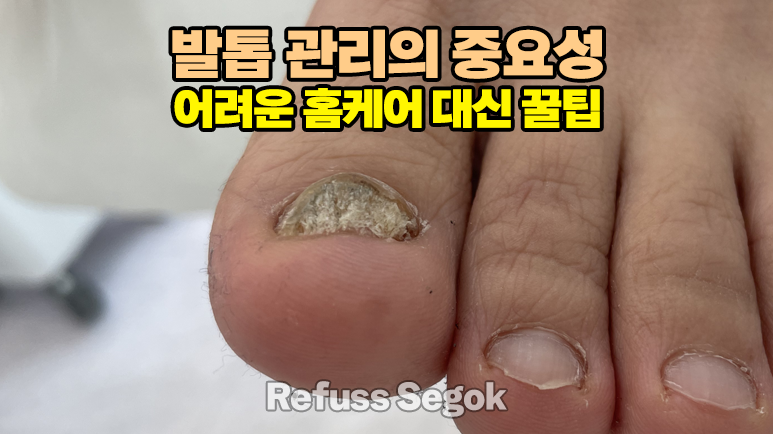 레푸스강남세곡점 이미지
