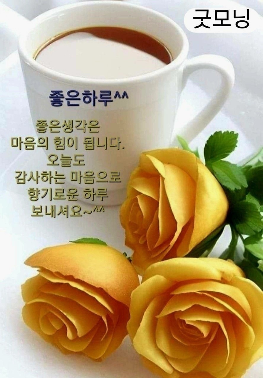 책속의행복 이미지