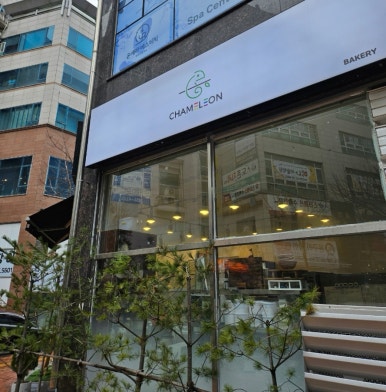 카멜레온베이커리 이미지