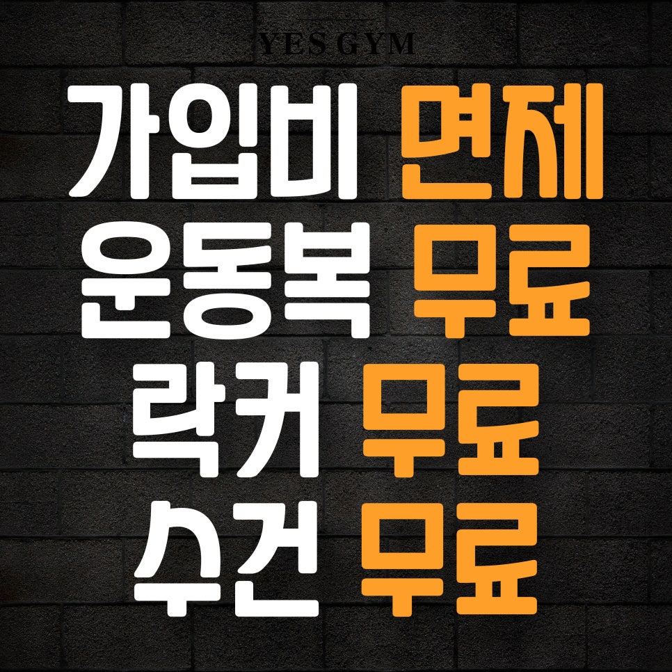 예스짐 이미지