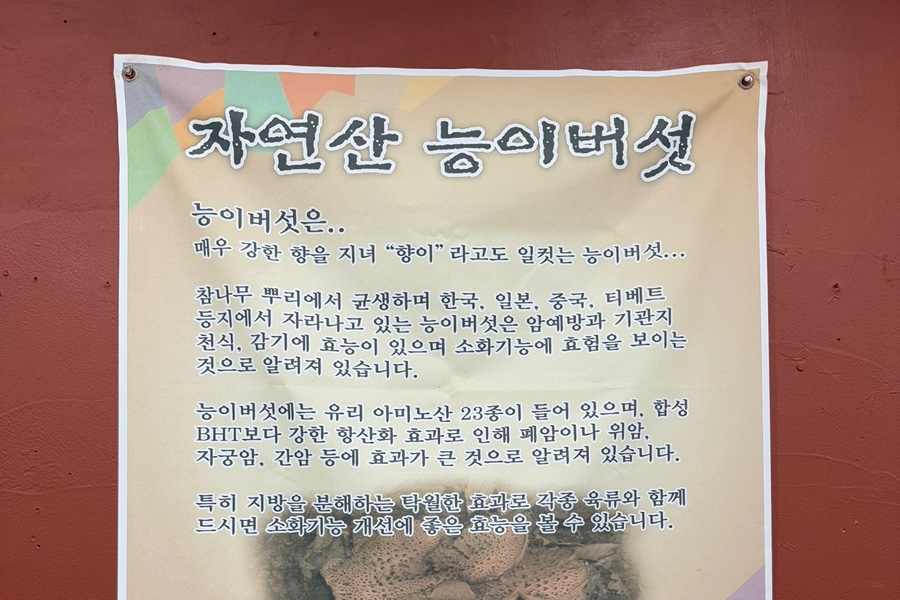 참나무능이버섯백숙 이미지