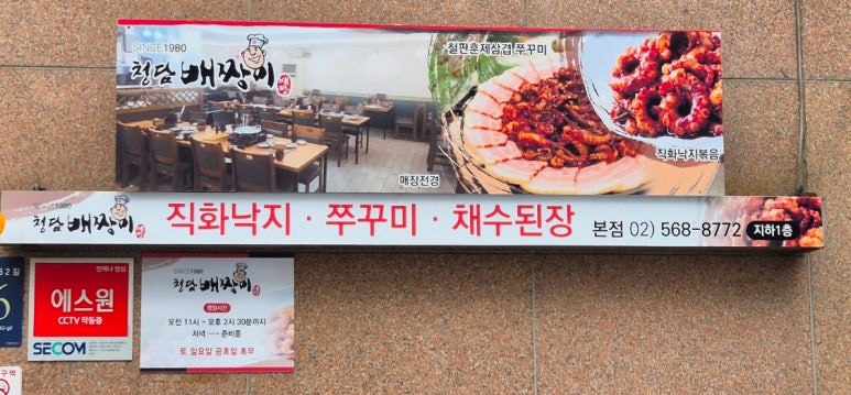 청담배짱이 이미지