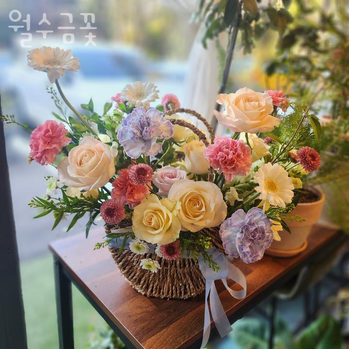 월수금;꽃 이미지